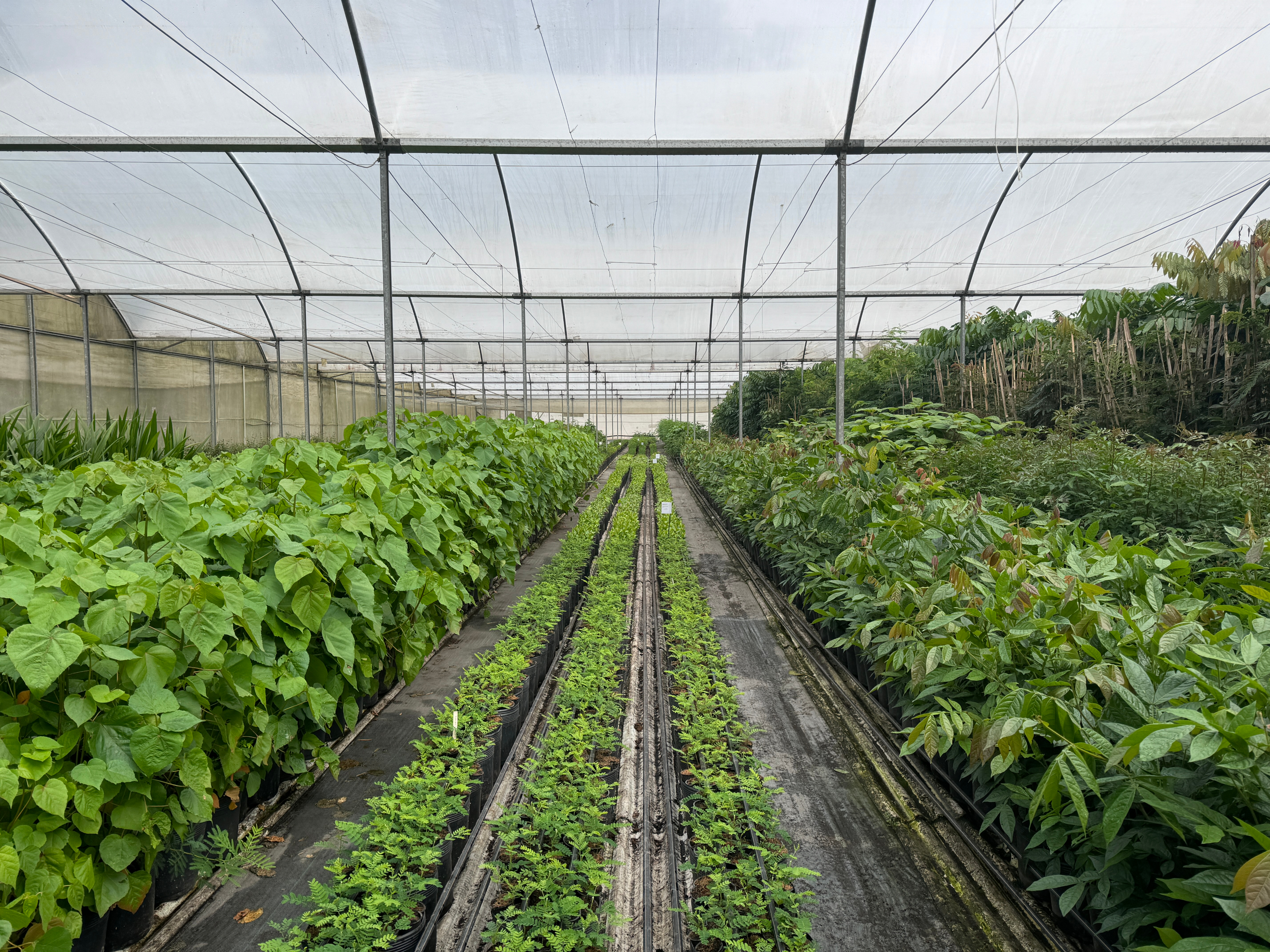 Photo of rows of books in a library with marble busts.